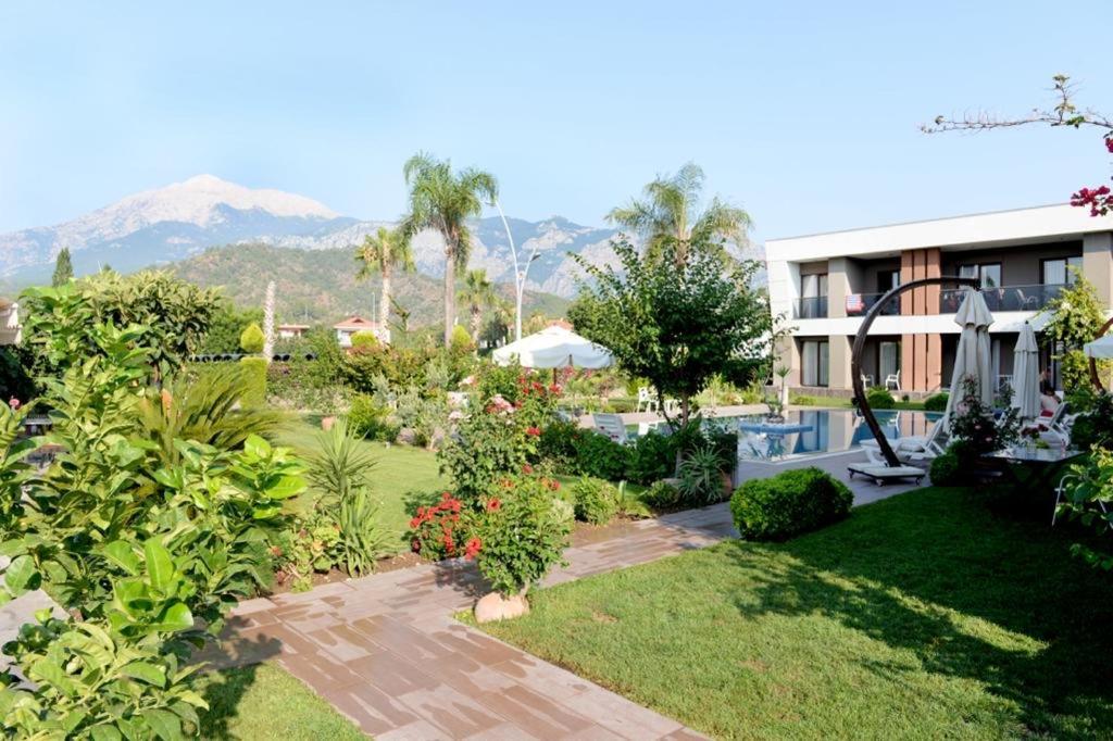 Mandalina Apartments Ağva 外观 照片