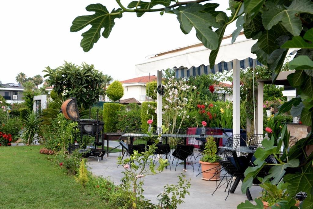 Mandalina Apartments Ağva 外观 照片