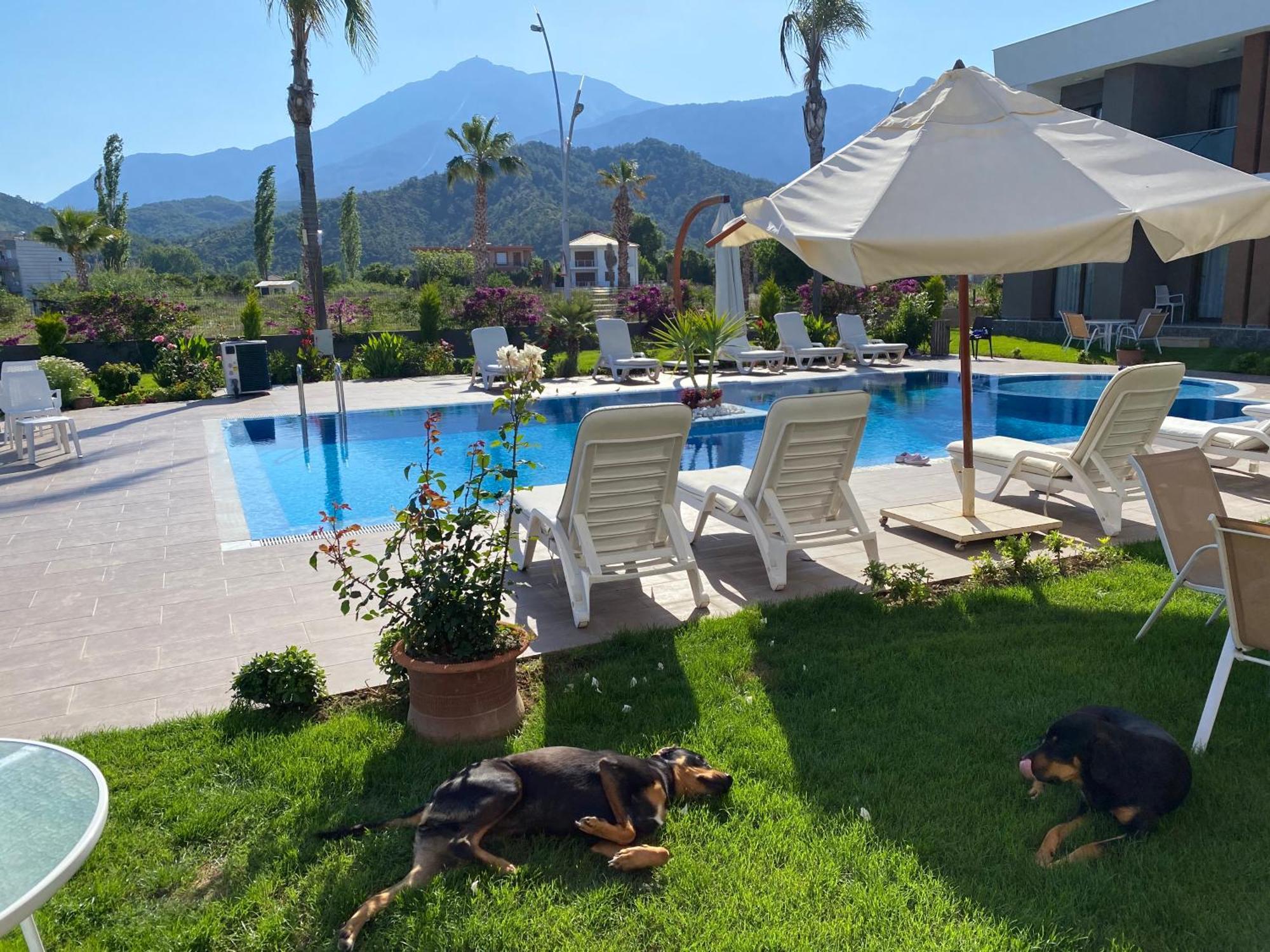 Mandalina Apartments Ağva 外观 照片